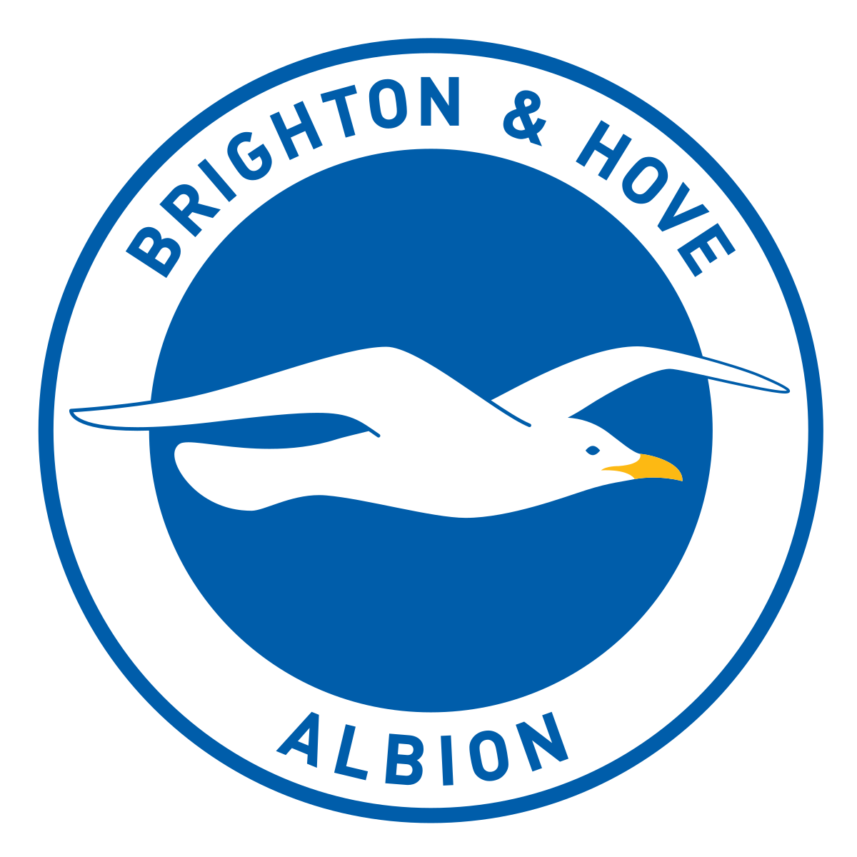 Brighton & Hove Albion F.C. - Wikipedia