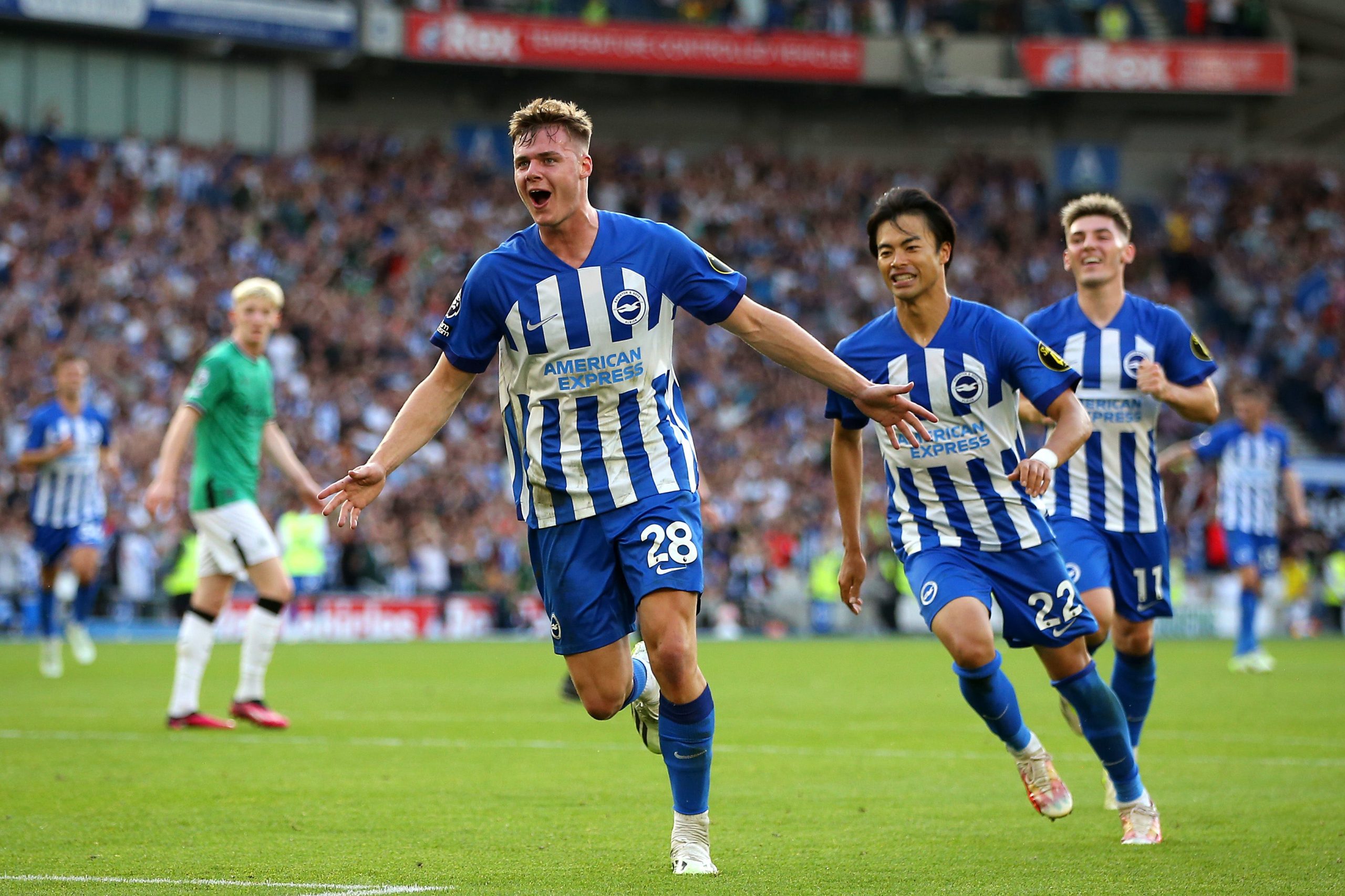Brighton & Hove Albion vs Newcastle United LIVE: Premier League result,  final score and reaction | The Independent