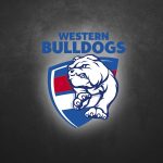 WB-Team-Logo-Headers-Recovered