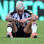 Newcastle United v Brighton & Hove Albion - Premier League
