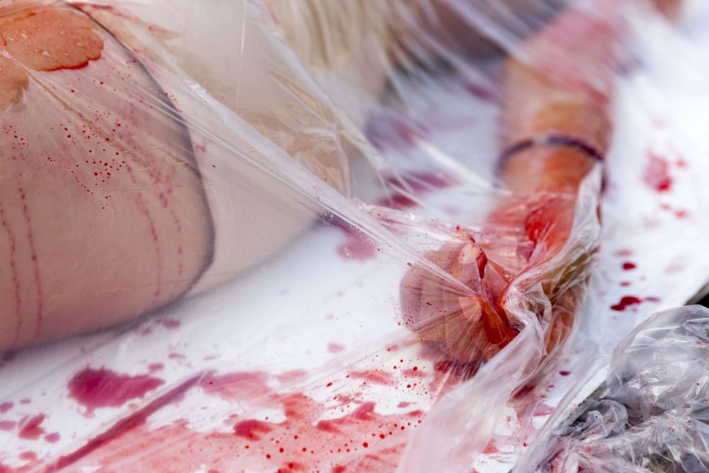 Body-in-Plastic-copy-scaled